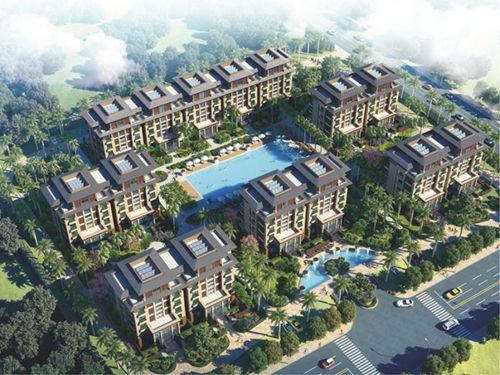 南丽湖上的时光