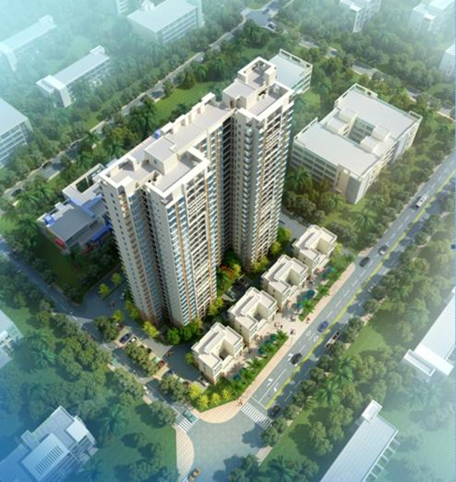 为啥春阳江城国际的“候鸟”那么多？