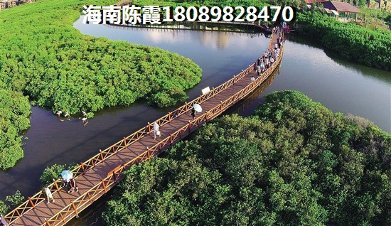 属虎卯时出生的男孩命运如何 属虎卯时出生的男孩命运如何